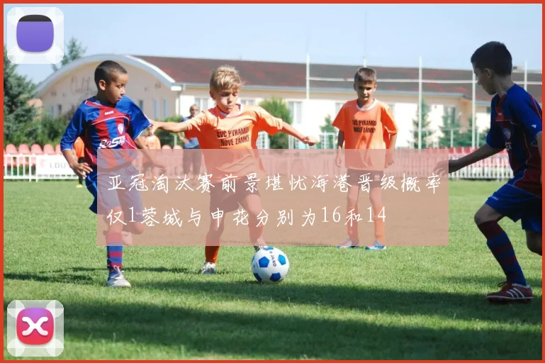 亚冠淘汰赛前景堪忧海港晋级概率仅1蓉城与申花分别为16和14