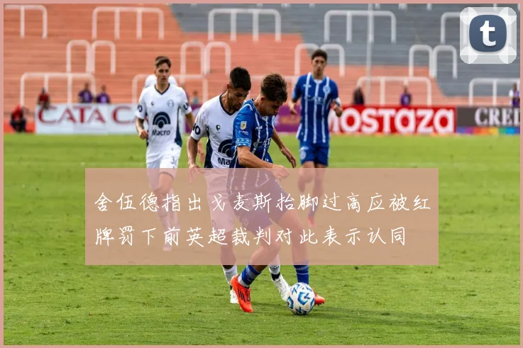 舍伍德指出戈麦斯抬脚过高应被红牌罚下前英超裁判对此表示认同